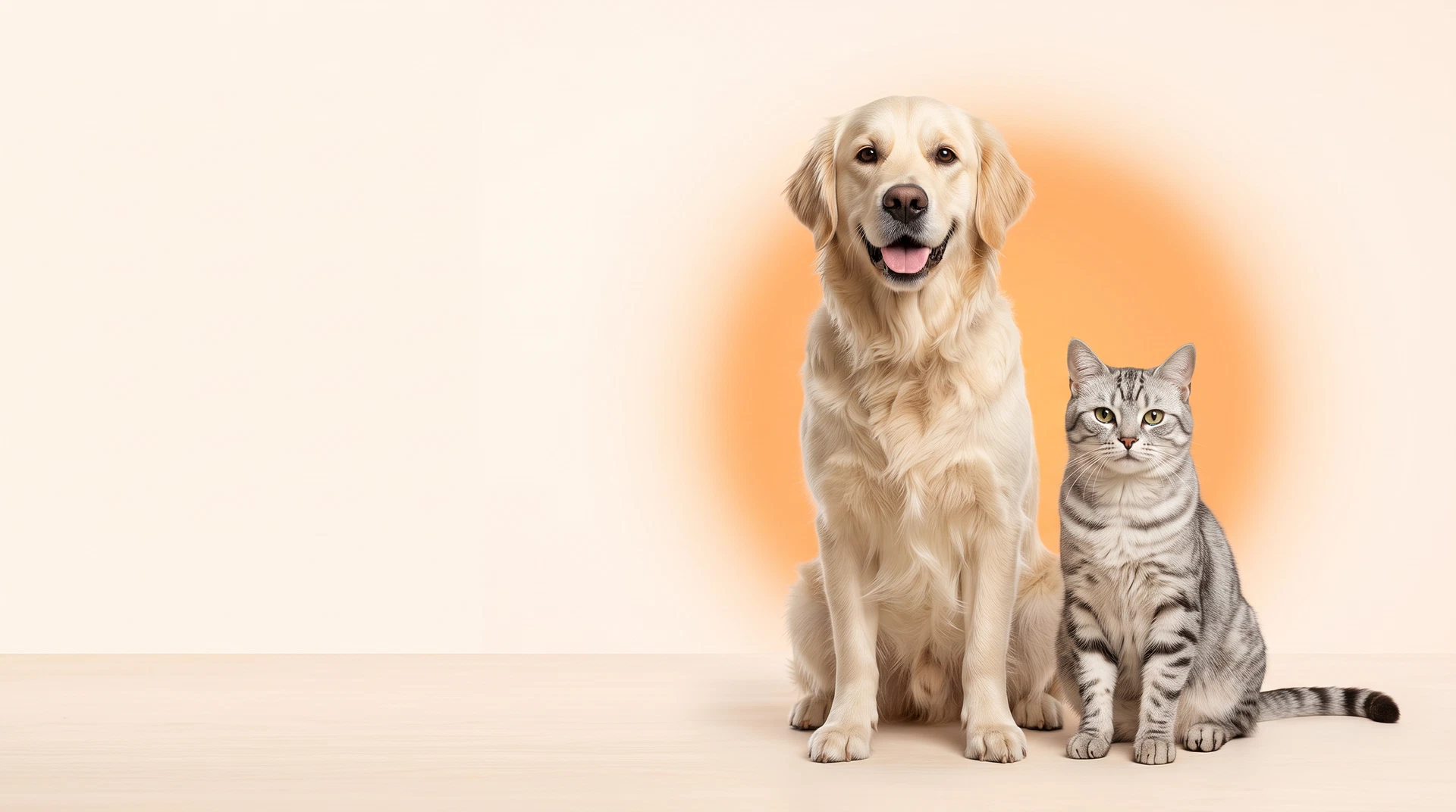 PatiFora için birlikte duran kedi ve köpek